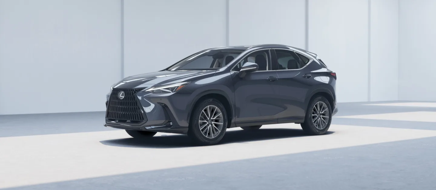 Lexus NX — Xám