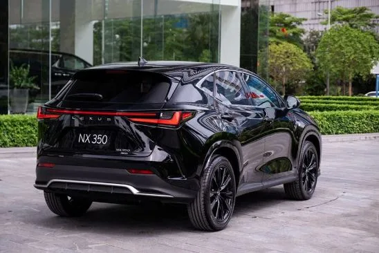 Lexus NX — bản đen tại Hà Nội