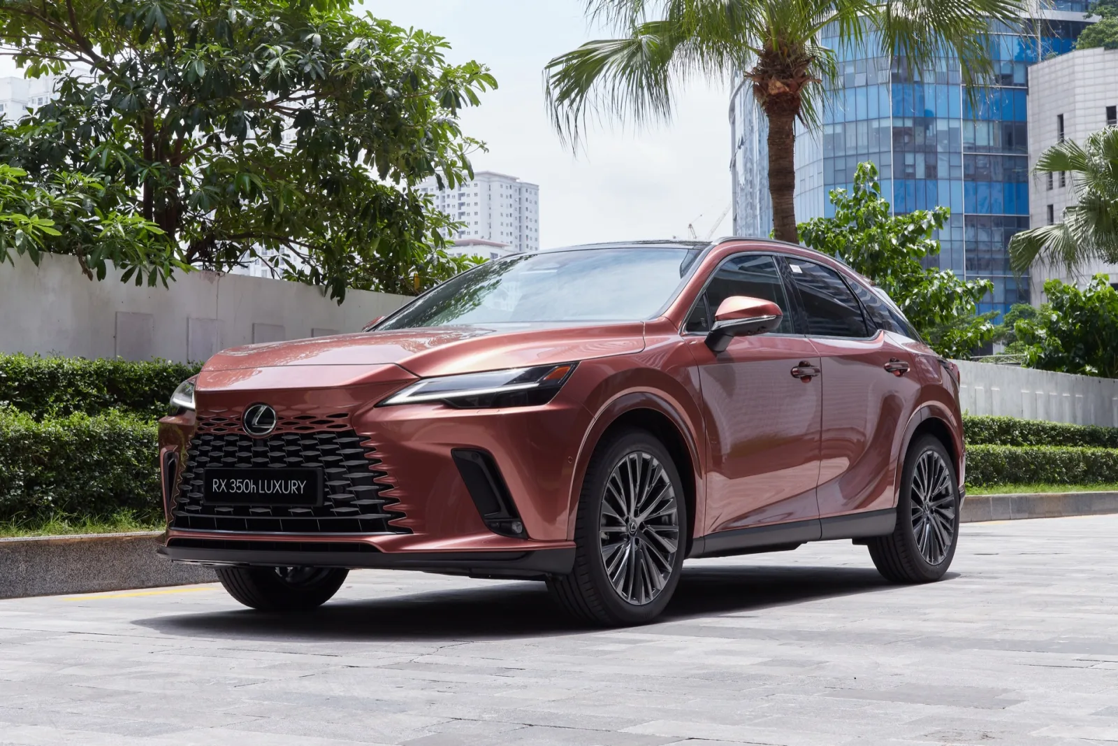 Lexus RX — bản Luxury màu đồng